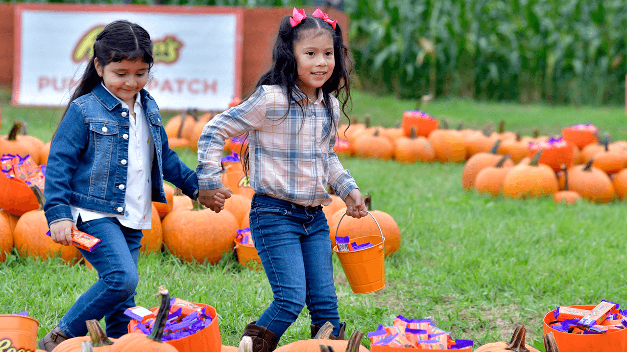 Seattle school cancels Halloween costume parade