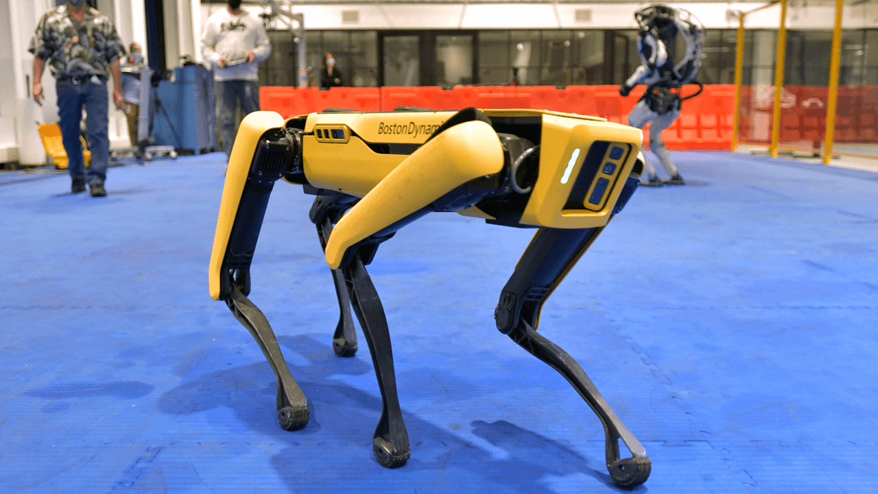 Robot dog to monitor Hawaii's homeless for COVID symptoms