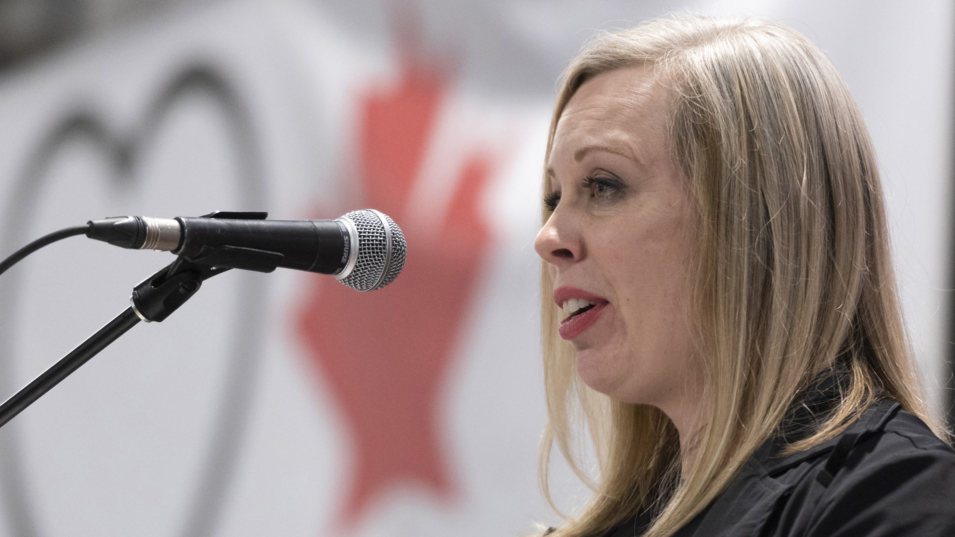 'Fired via voicemail': Conservative Senator Denise Batters expelled from CPC caucus after calling for leadership review