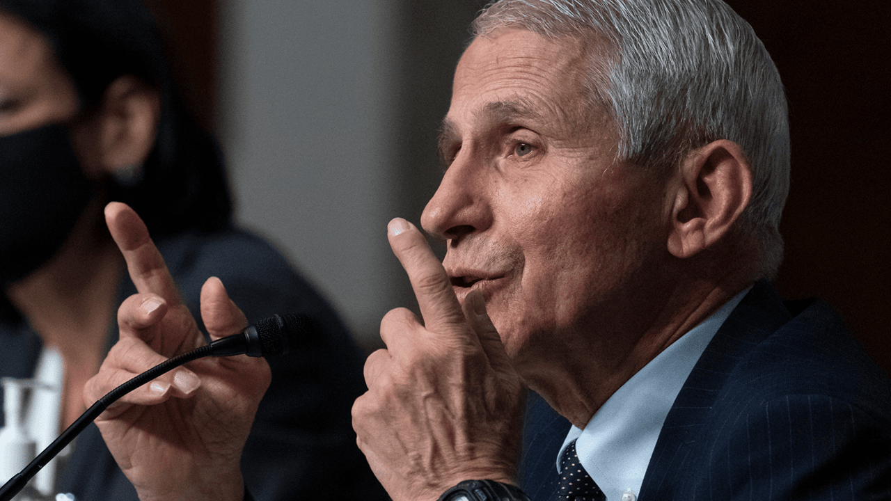Biden bans travel from African countries following Fauci’s advice