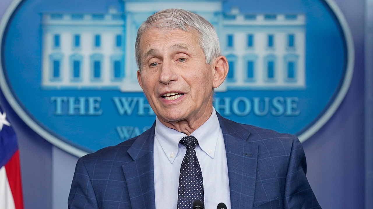 Fauci advises public to test family members for Christmas gatherings, warns against travel
