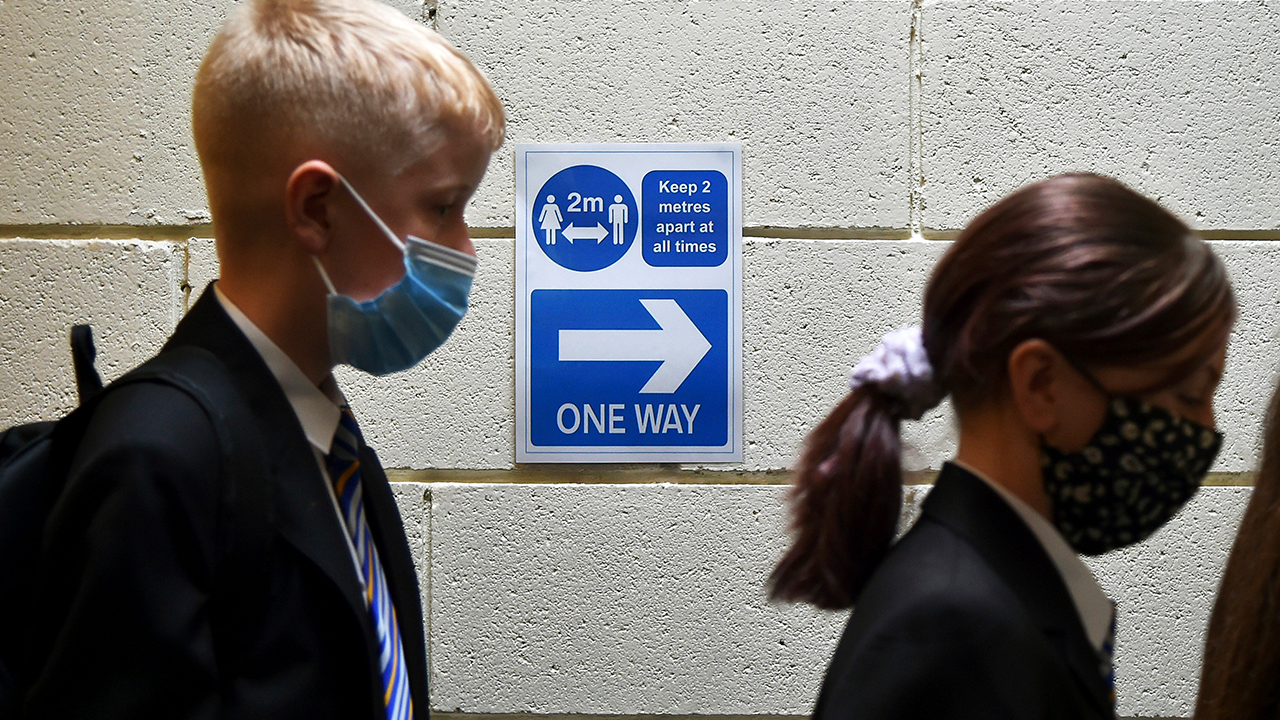British gov't admits efficacy of face masks is 'not conclusive'
