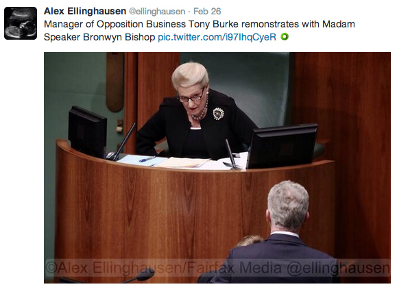 bronwyn.jpg