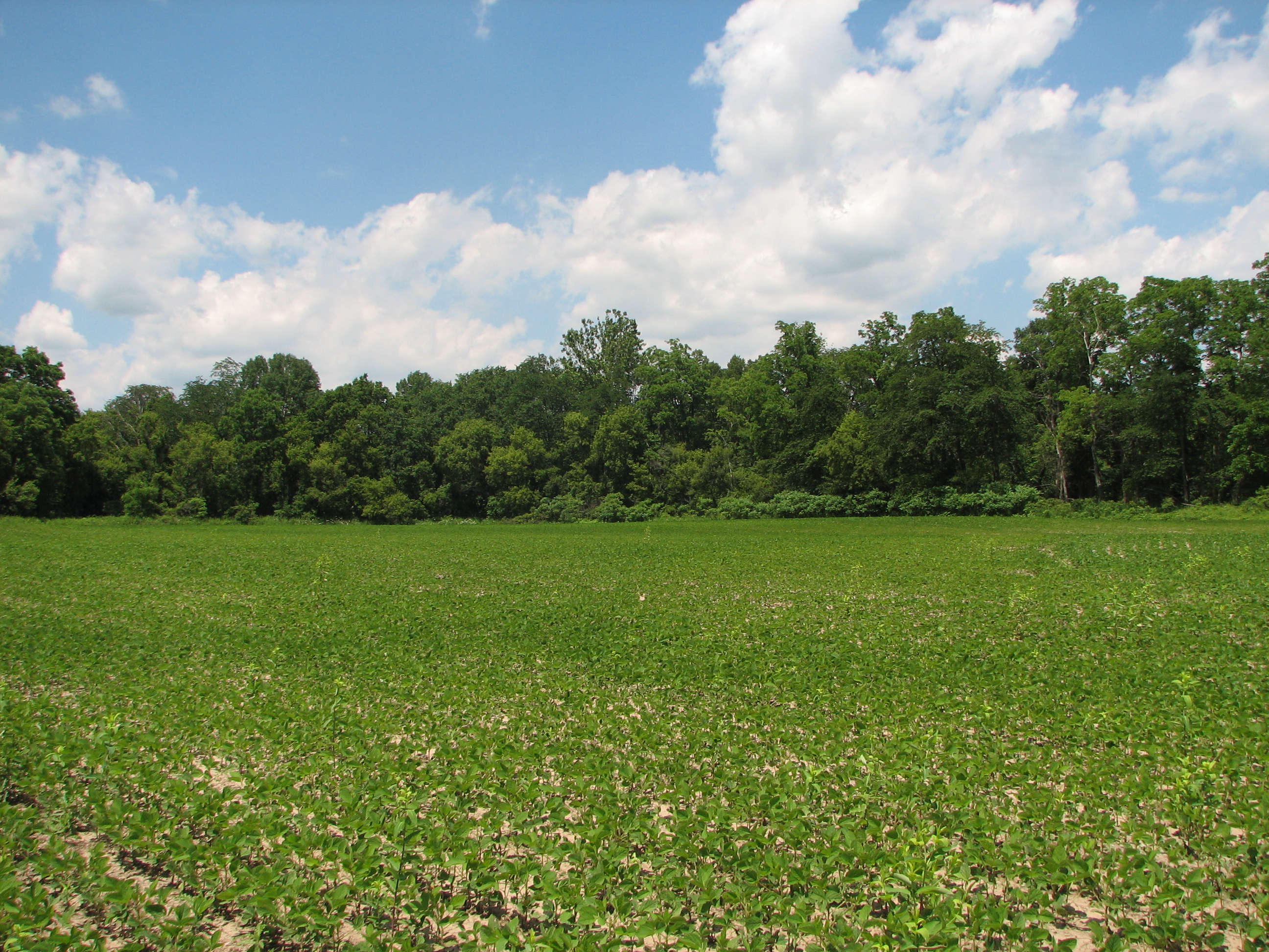 Blain Farm Thames Talbot Land Trust