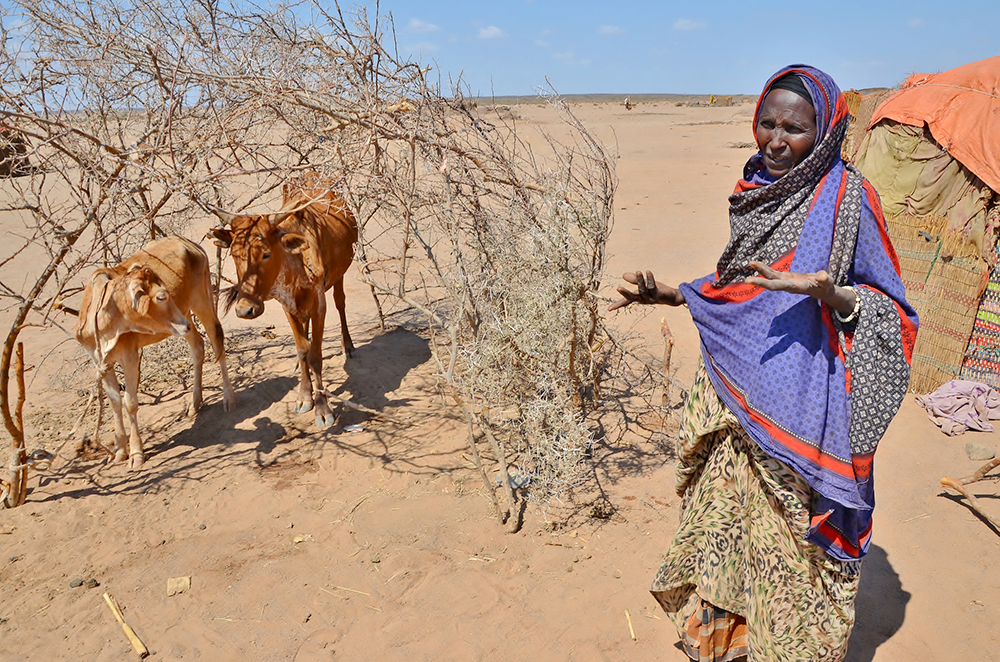 Ethiopia-Drought_Woman-2015.jpg