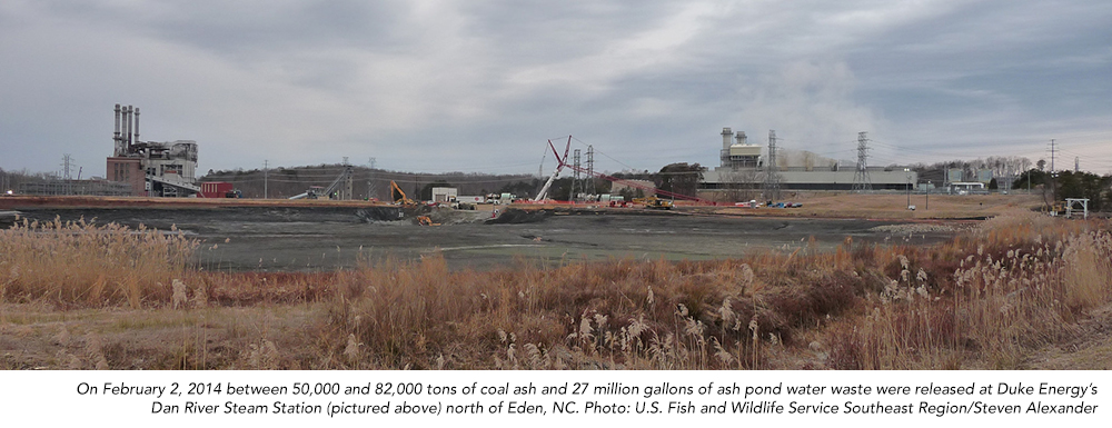 Ash_site-USFWS-Steven-Alexander.jpg