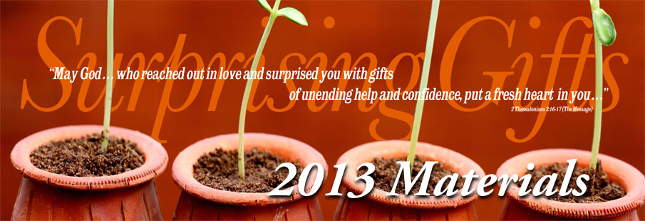 2013 Stewardship Theme Materials