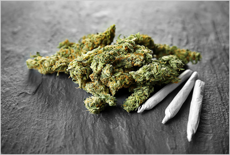 Virginia Marijuana Legalization FAQs Virginia NORML