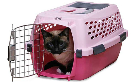 Cat_Carrier.jpg