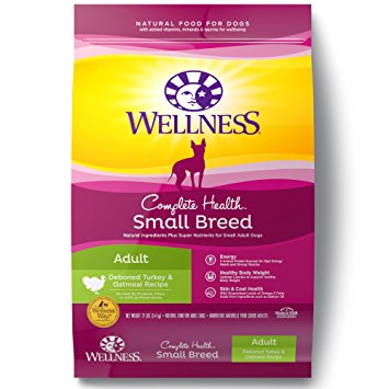 wellness_food.jpg