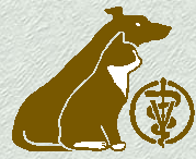 marvistaclinic.png
