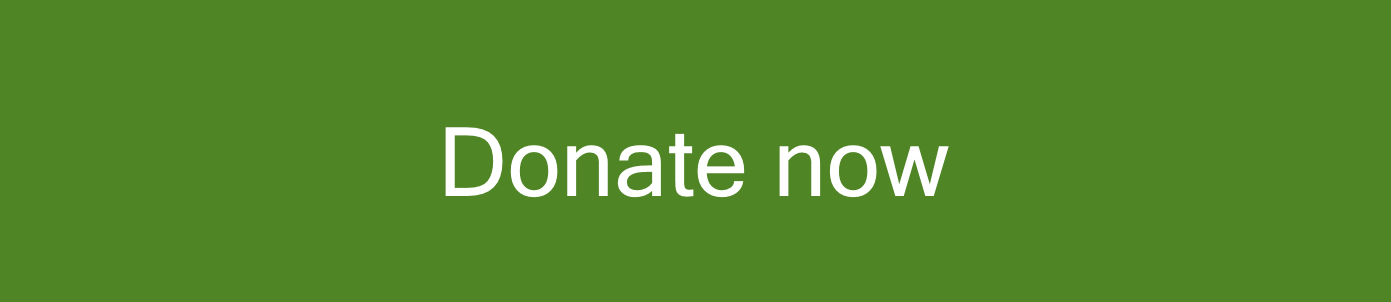 Donate now