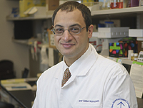 Dr._Omar_Abdel-Wahab.png