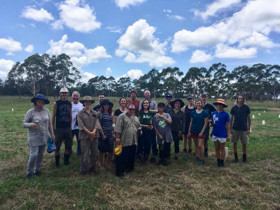 volunteers planting trees