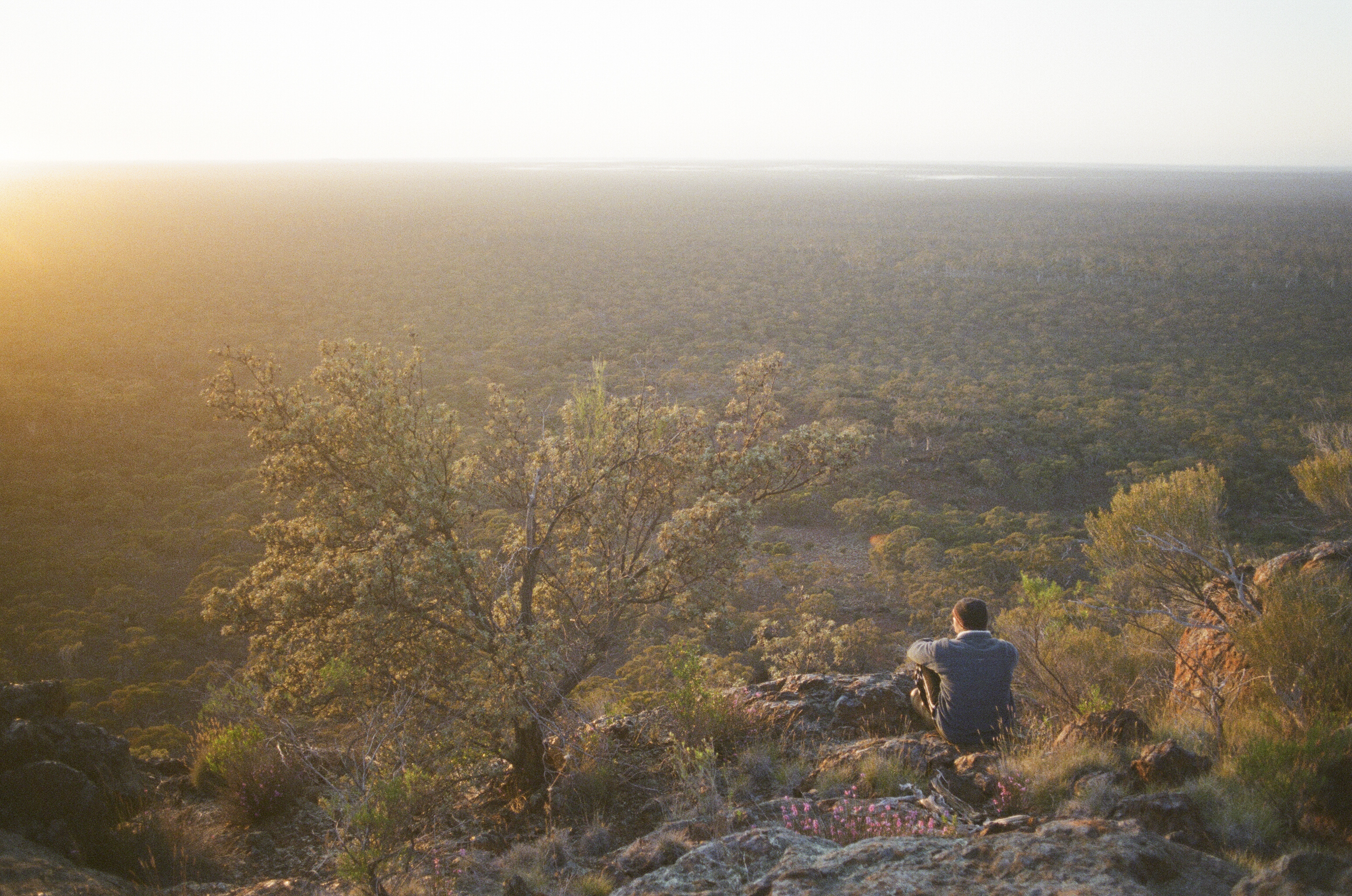 Great Western Woodlands Photography Exhibition - The Wilderness Society