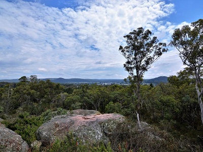 Stanthorpe Bush