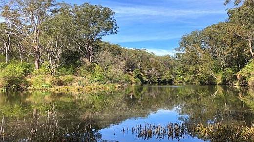 lane-cove-national-park-small.jpg
