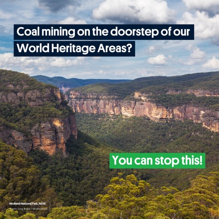 wollemi forrest pic with text that says we can stop coal mining here