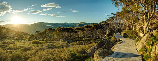 Charlotte-Pass-Kosciuszko-National-Park-medium.jpg