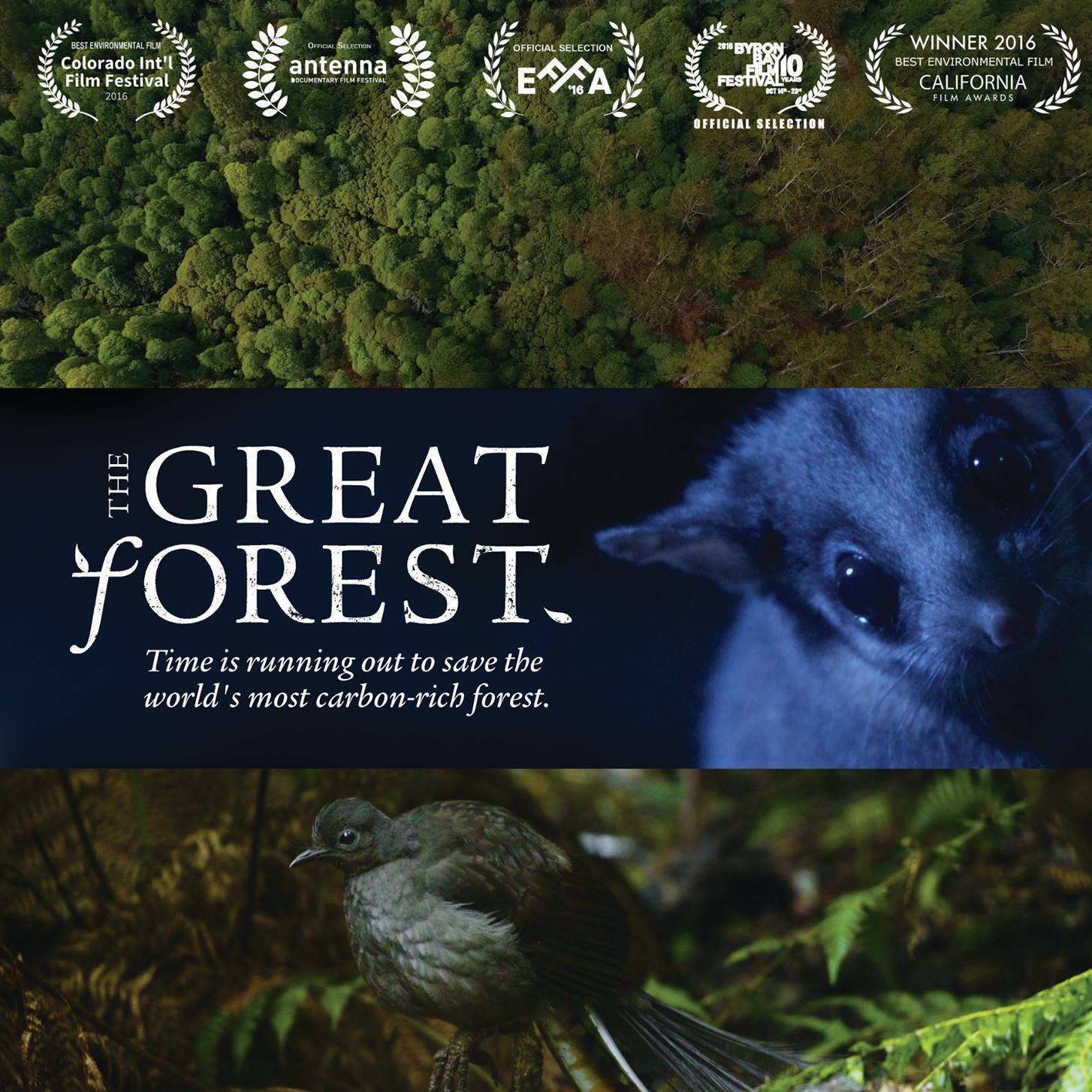The_Great_Forest_cover.jpg