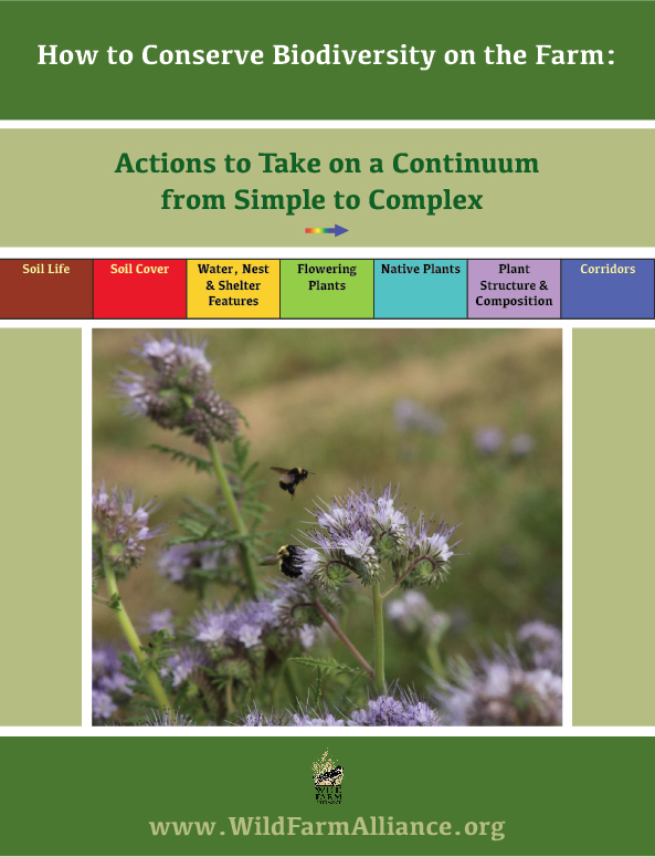 BD_Continuum_Coverimage.jpg BD_Continuum_Coverimage.jpg