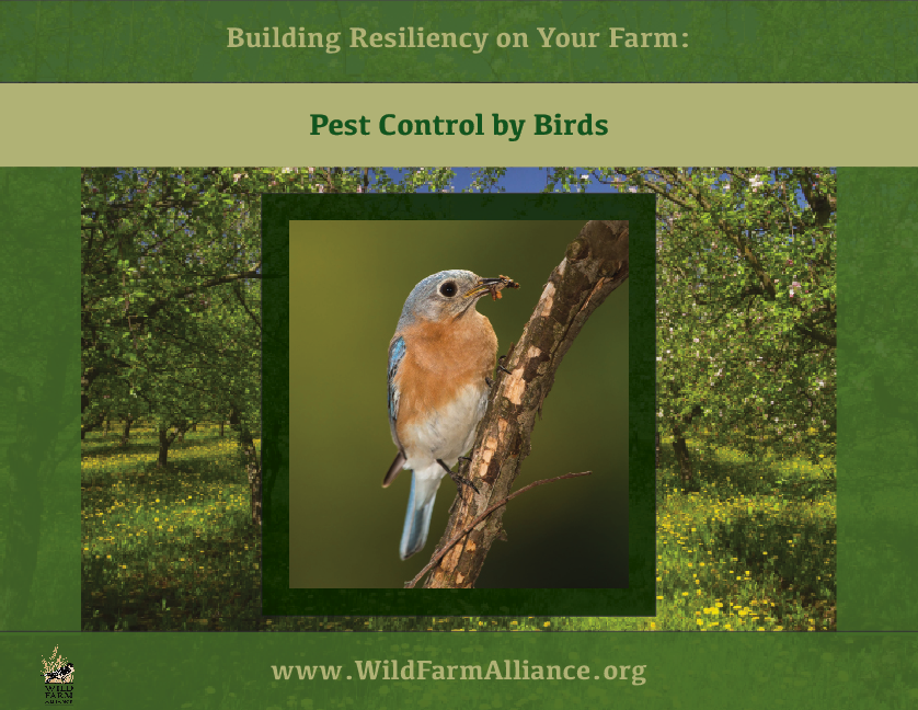 Cover-Pest_Control_by_Birds.png Cover-Pest_Control_by_Birds.png