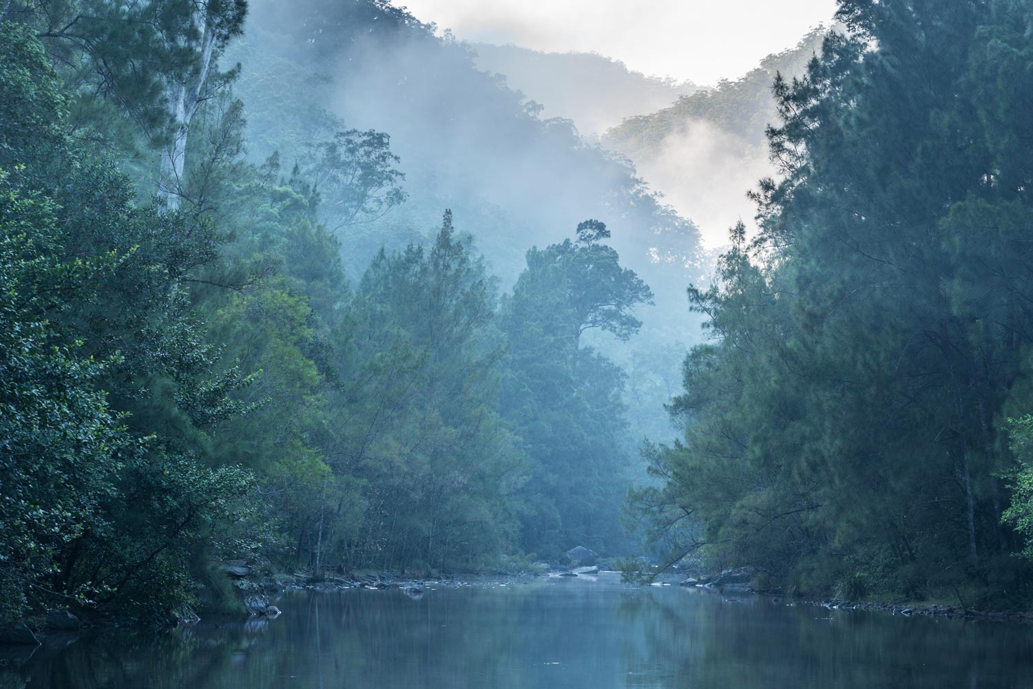NSW great wilderness area at risk: expert Image