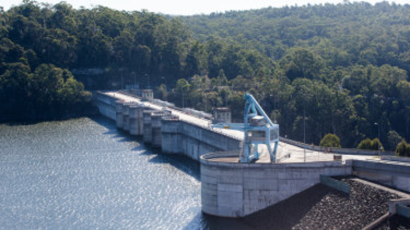 Greens defector teams up with One Nation to form inquiry into plans to raise Warragamba Dam wall Image
