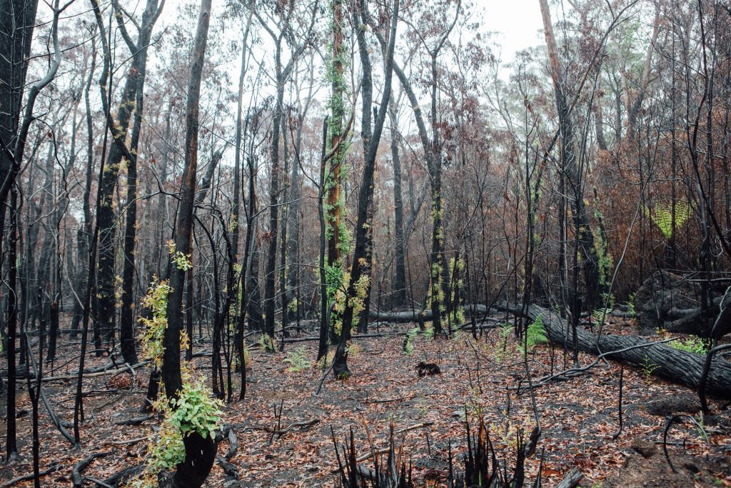 How to reduce the effects of natural disasters rather than just clean up after them Image