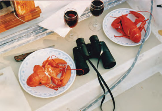 When you’re cruising downeast, you can often buy lobsters right off a lobster boat. When you’re cruising downeast, you can often buy lobsters right off a lobster boat.