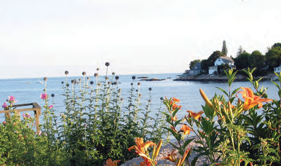 A quiet morning on the Guilford shoreline © Larry Kalbfeld/inaflashstudio.com A quiet morning on the Guilford shoreline © Larry Kalbfeld/inaflashstudio.com