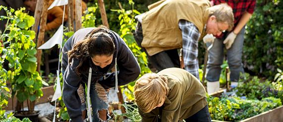 Garden Volunteers