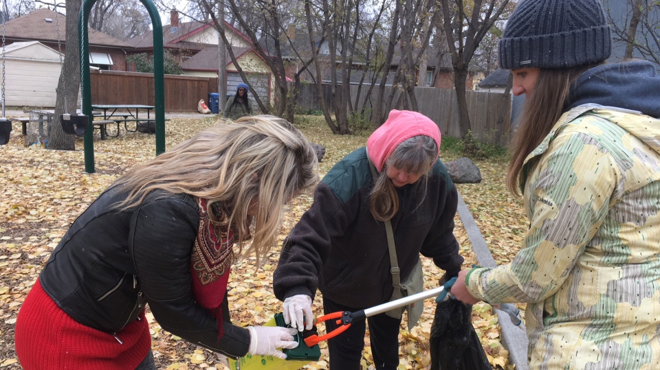 Members of the Wolseley Watch conduct a sweep of the neighborhood where the believe to have found drug paraphernalia. (Source: Beth Macdonell/ CTV Winnipeg)