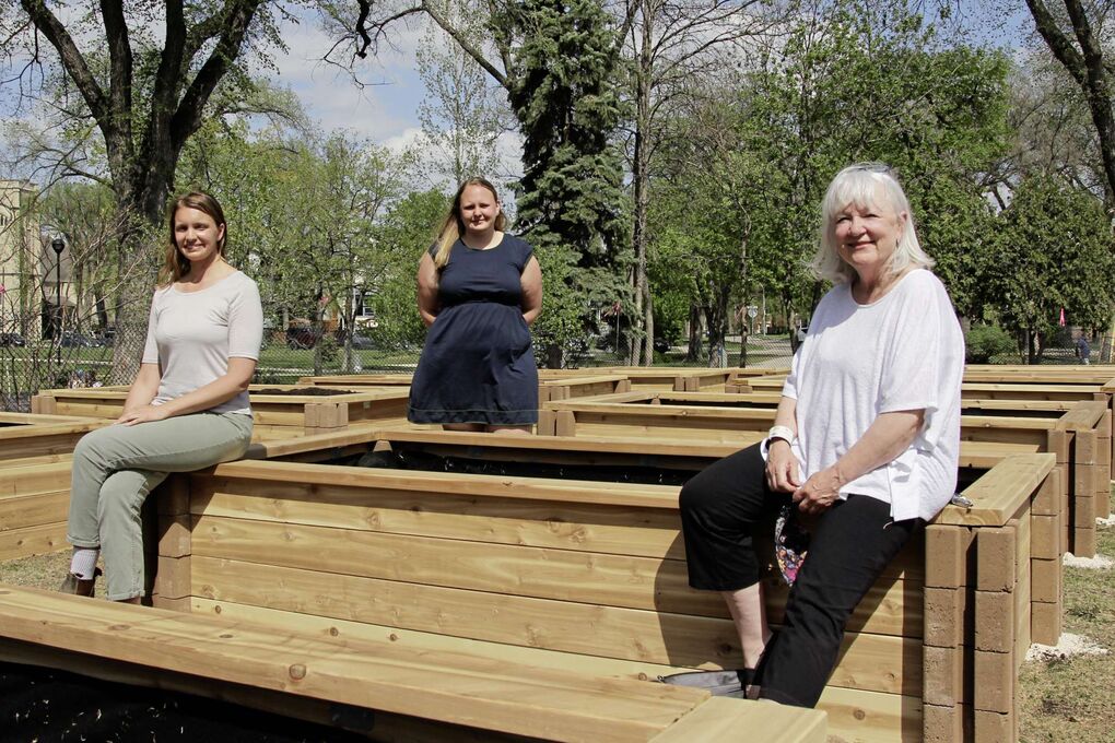 Wolseley Garden Box Build 