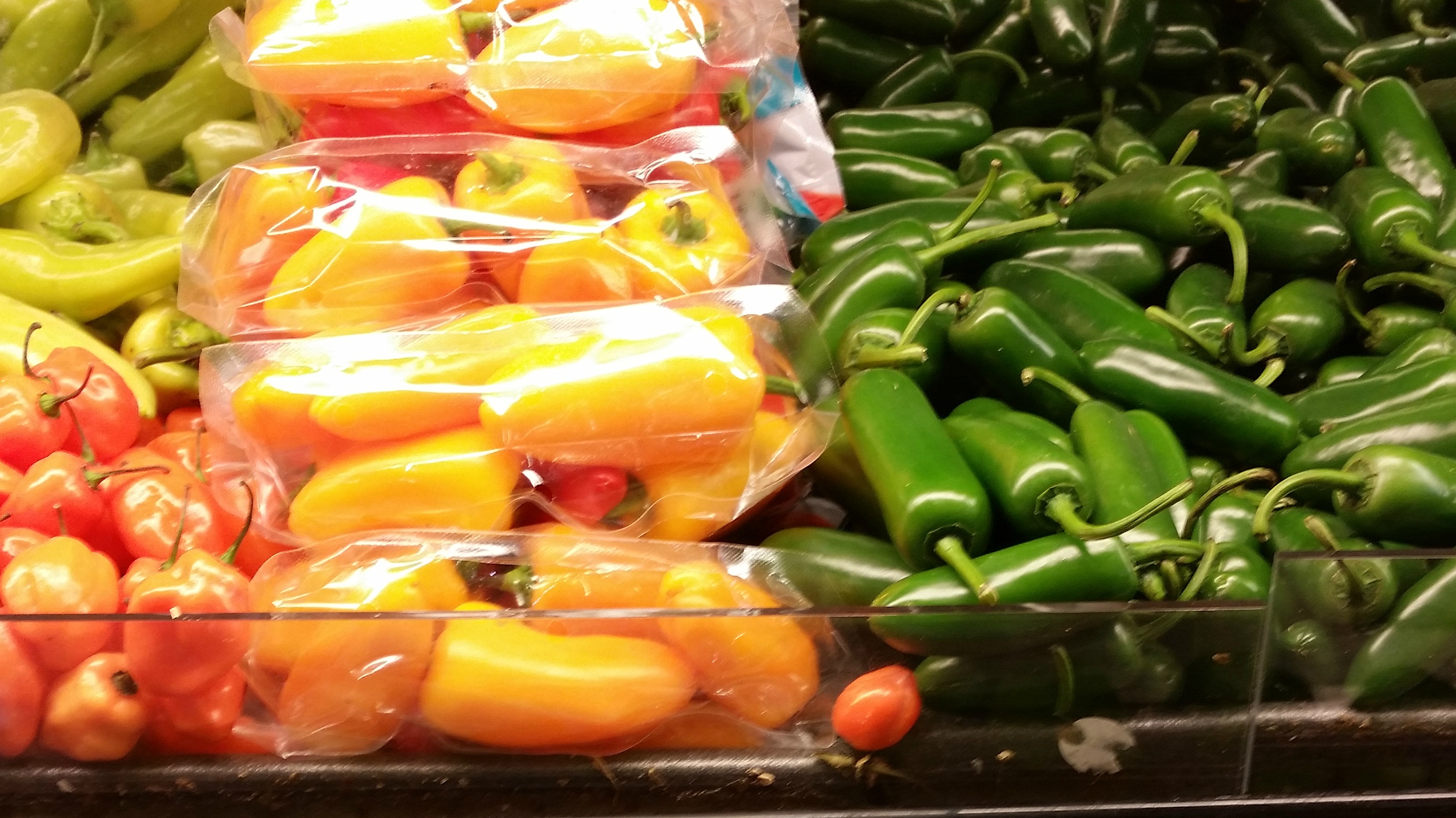 family grocery shopping