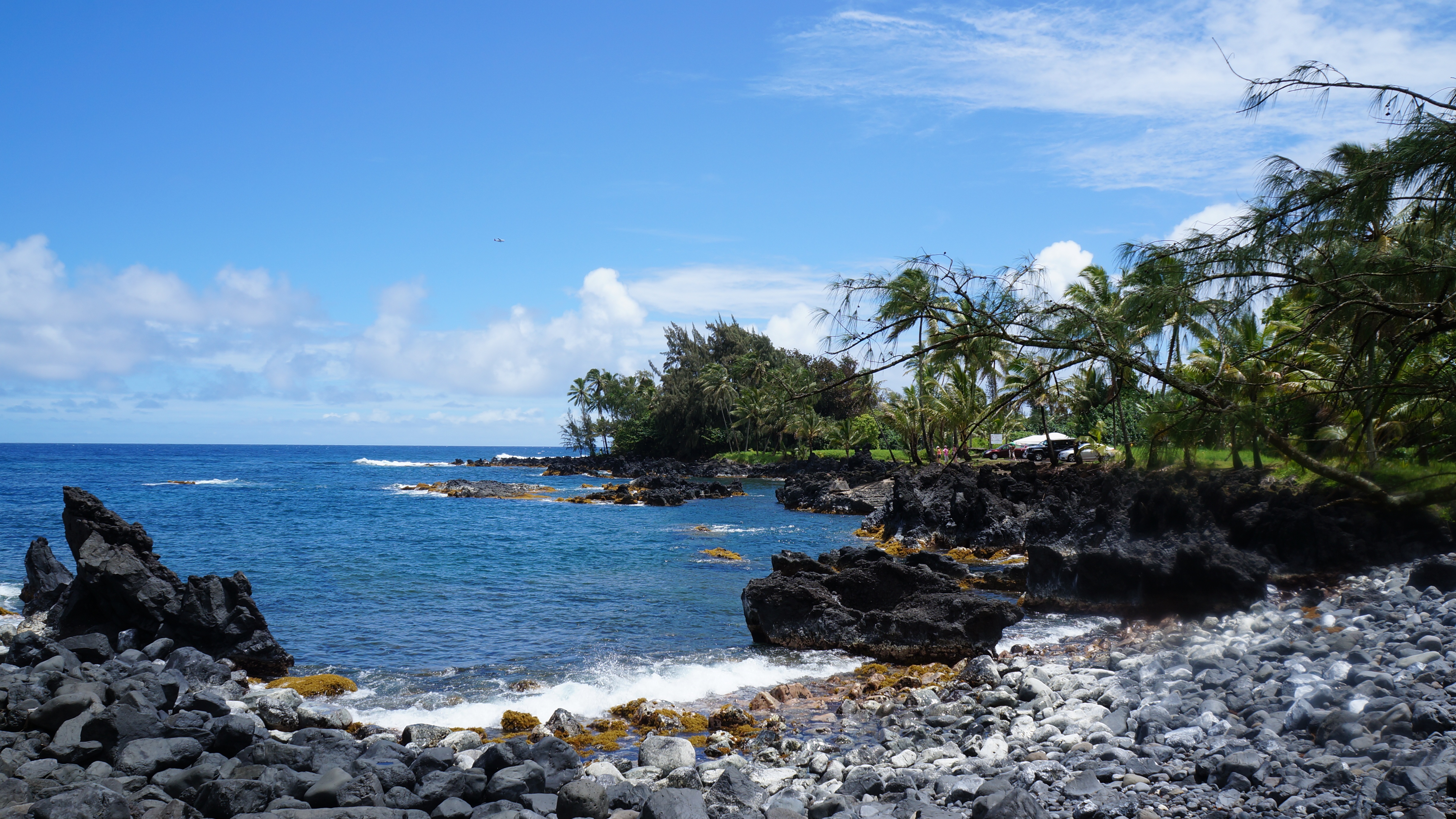 A rocky beach in Hawaii with palm trees and blue skies